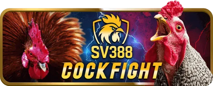 Tổng hợp các môn thể thao khác như eSports, MMA, bóng chuyền